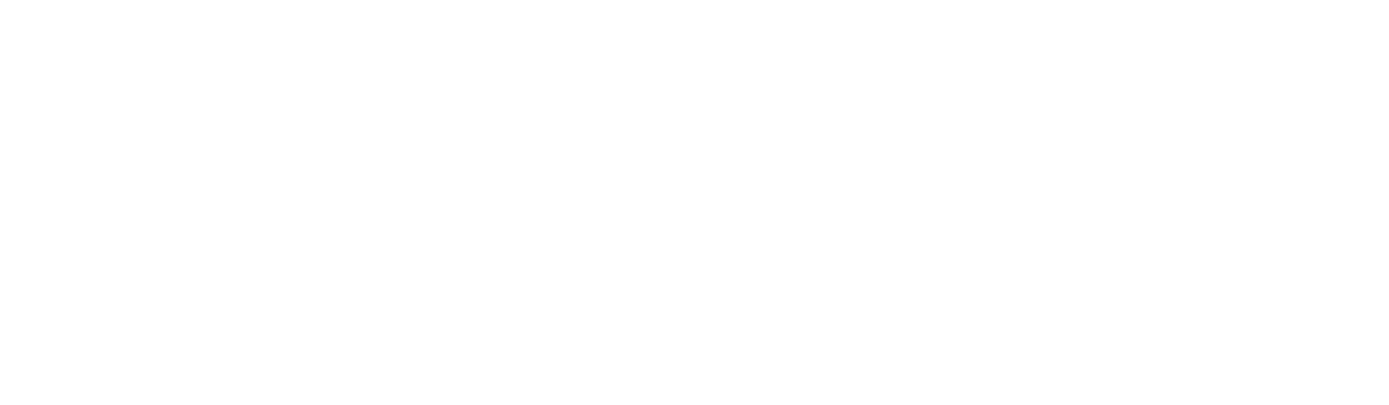 Assistenza_Diretta_ai_line