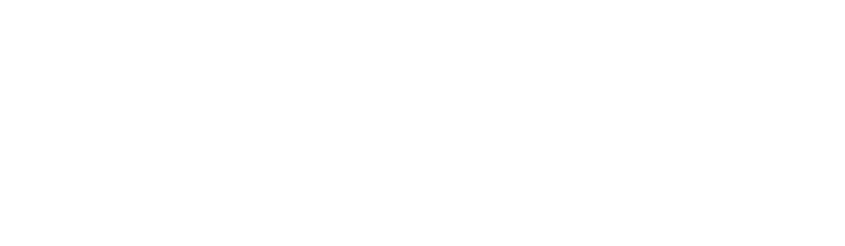 tecnici_diretti_ai_line